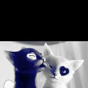 Meet your Posher, Ermosa